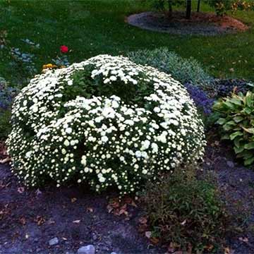 Landscape Design Patios NY