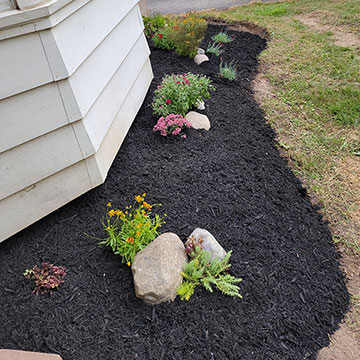 Mulched Garden